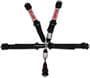 Simpson Race Products Safety Harness