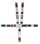 Simpson Race Products Safety Harness