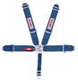 Simpson Race Products Latch And Link Harness
