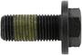 Spicer Differential Ring Gear Bolt