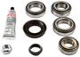 Spicer Differential Rebuild Kit