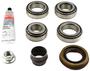 Spicer Differential Rebuild Kit