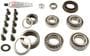 Spicer Differential Rebuild Kit
