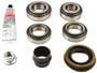 Spicer Differential Rebuild Kit