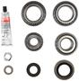 Spicer Differential Rebuild Kit