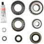 Spicer Differential Rebuild Kit