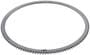 Spicer 120 Tooth ABS Reluctor Ring