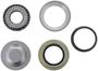 Spicer King Pin Repair Kit