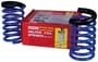 Superior RideEFFEX Coil Spring Helper