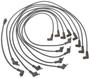 Standard Ignition Spark Plug Wire Set
