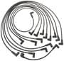 Standard Ignition Spark Plug Wire Set