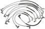 Standard Ignition Spark Plug Wire Set