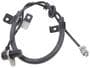 Standard Ignition 2 Terminal ABS Speed Sensor