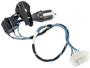 Standard Ignition 5 Terminal Cruise Control Switch