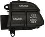 Standard Ignition 12 Terminal Cruise Control Switch