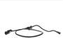 Standard Ignition 2 Terminal Vapor Canister Purge Valve/Solenoid