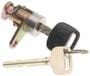 Standard Ignition Chrome-Plated Door Lock Kit