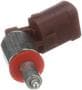 Standard Ignition 2 Terminal Door Jamb Switch