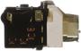 Standard Ignition 9 Terminal Headlight Switch