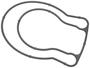 Standard Ignition Plastic Throttle Body Mounting Gasket