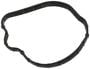 Standard Ignition Fuel Pump Mounting Gasket