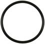 Standard Ignition Fuel Pump O-Ring