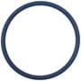 Standard Ignition Fuel Pump O-Ring