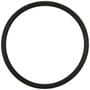 Standard Ignition Fuel Pump O-Ring