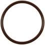Standard Ignition Fuel Pump O-Ring