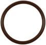 Standard Ignition Fuel Pump O-Ring