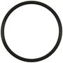Standard Ignition Fuel O-Ring
