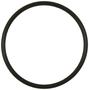 Standard Ignition Fuel O-Ring