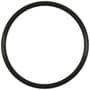 Standard Ignition Fuel O-Ring