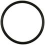 Standard Ignition Fuel O-Ring