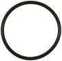 Standard Ignition Fuel O-Ring