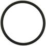Standard Ignition Fuel O-Ring