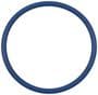 Standard Ignition Fuel O-Ring