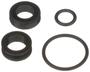 Standard Ignition Fuel Injector Seal Kit