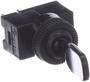 Standard Ignition 20 Amp 2 Terminal Toggle Switch