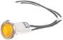 Standard Ignition Indicator Light
