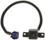 Standard Ignition Park Assist Camera