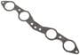 Standard Ignition Plenum Gasket