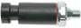 Standard Ignition 1 Terminal Oil Pressure Switch