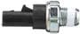 Standard Ignition 1 Terminal Oil Pressure Switch