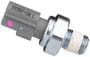 Standard Ignition 1 Terminal Oil Pressure Switch
