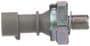 Standard Ignition 1 Terminal Oil Pressure Switch