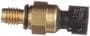 Standard Ignition 2 Terminal Steering Pressure Switch