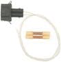 Standard Ignition 2 Terminal Windshield Washer Pump Connector