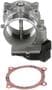 Standard Ignition 5 Terminal Throttle Body