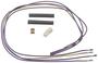 Standard Ignition 2 Terminal Multi-Purpose Connector